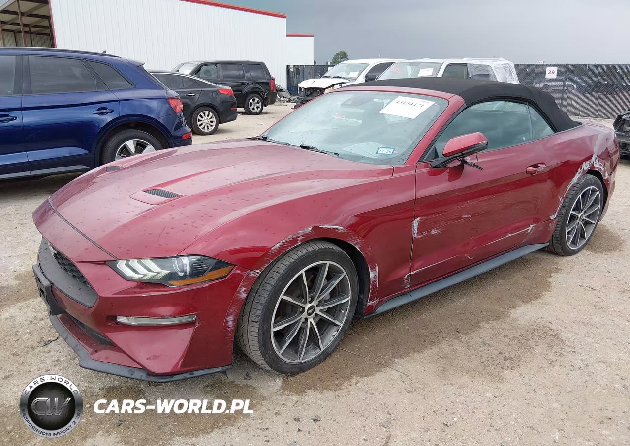 2019 Ford Mustang Ecoboost Premium VIN:1FATP8UH6K5150990 - 2