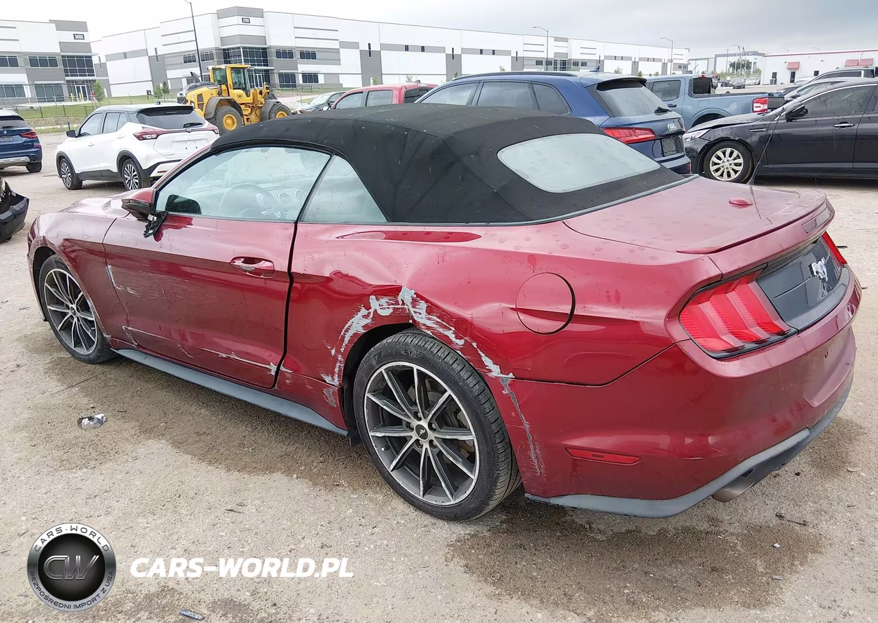 2019 Ford Mustang Ecoboost Premium VIN:1FATP8UH6K5150990 - 3