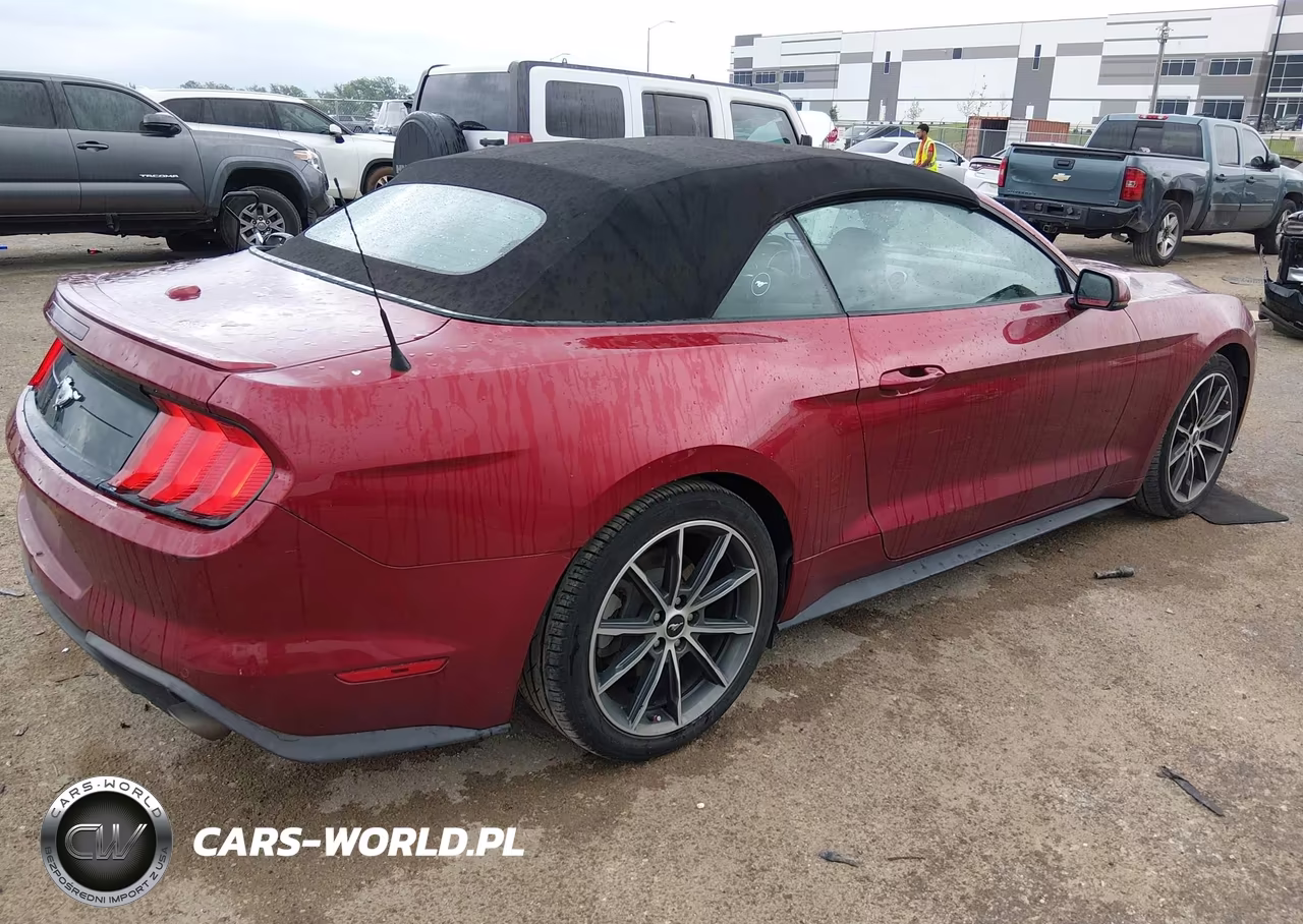 2019 Ford Mustang Ecoboost Premium VIN:1FATP8UH6K5150990 - 4