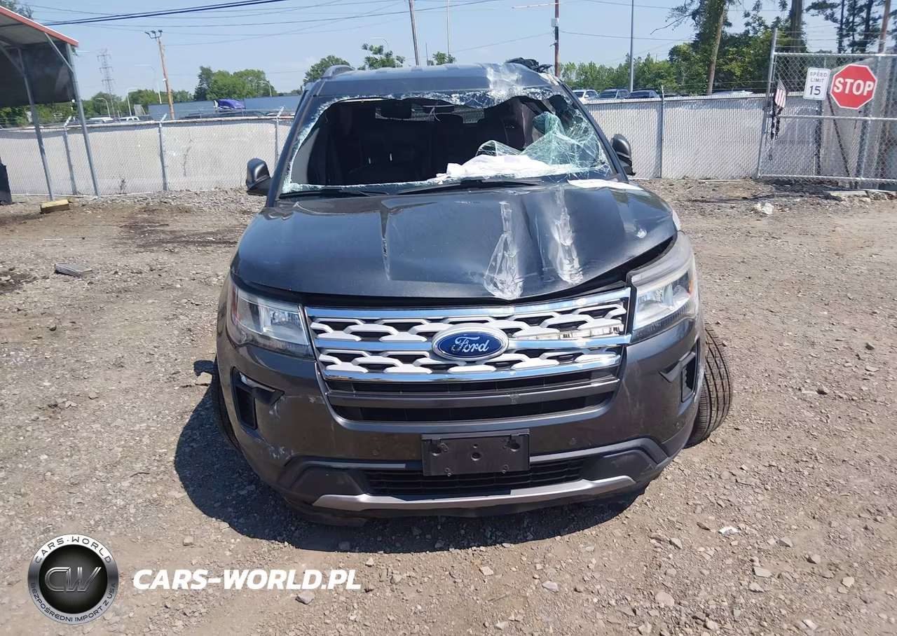 2019 Ford Explorer Xlt VIN:1FM5K8DH9KGA69712 - 11