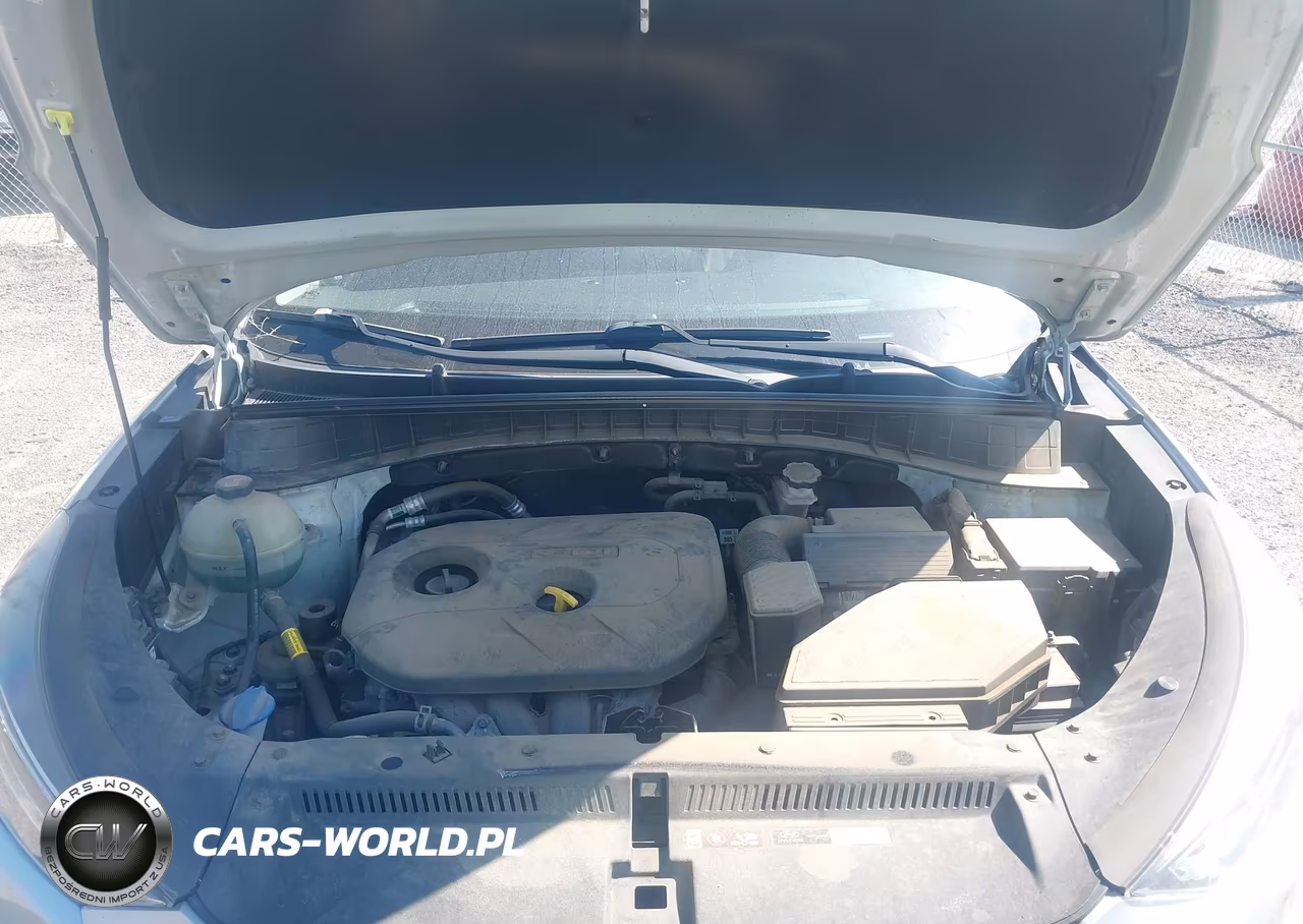 2019 Hyundai Tucson Se VIN:KM8J2CA45KU918920 - 10