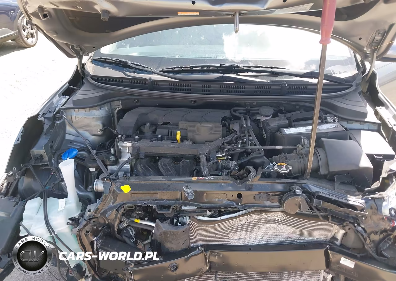 2021 Kia Rio 5-Door S VIN:3KPA25AD6ME388765 - 10