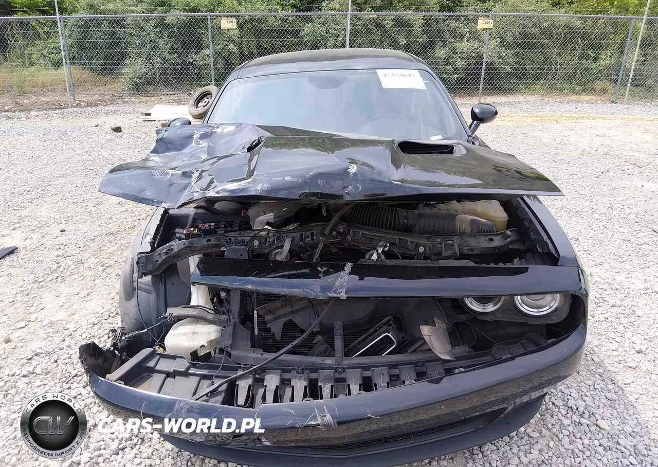 2018 Dodge Challenger Sxt VIN:2C3CDZAG2JH317796 - 12