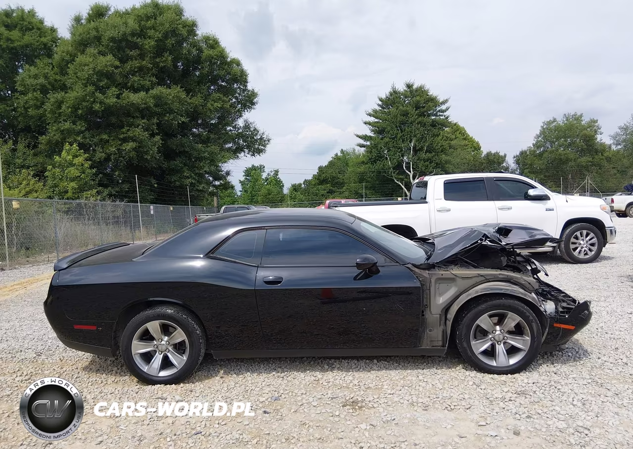 2018 Dodge Challenger Sxt VIN:2C3CDZAG2JH317796 - 13