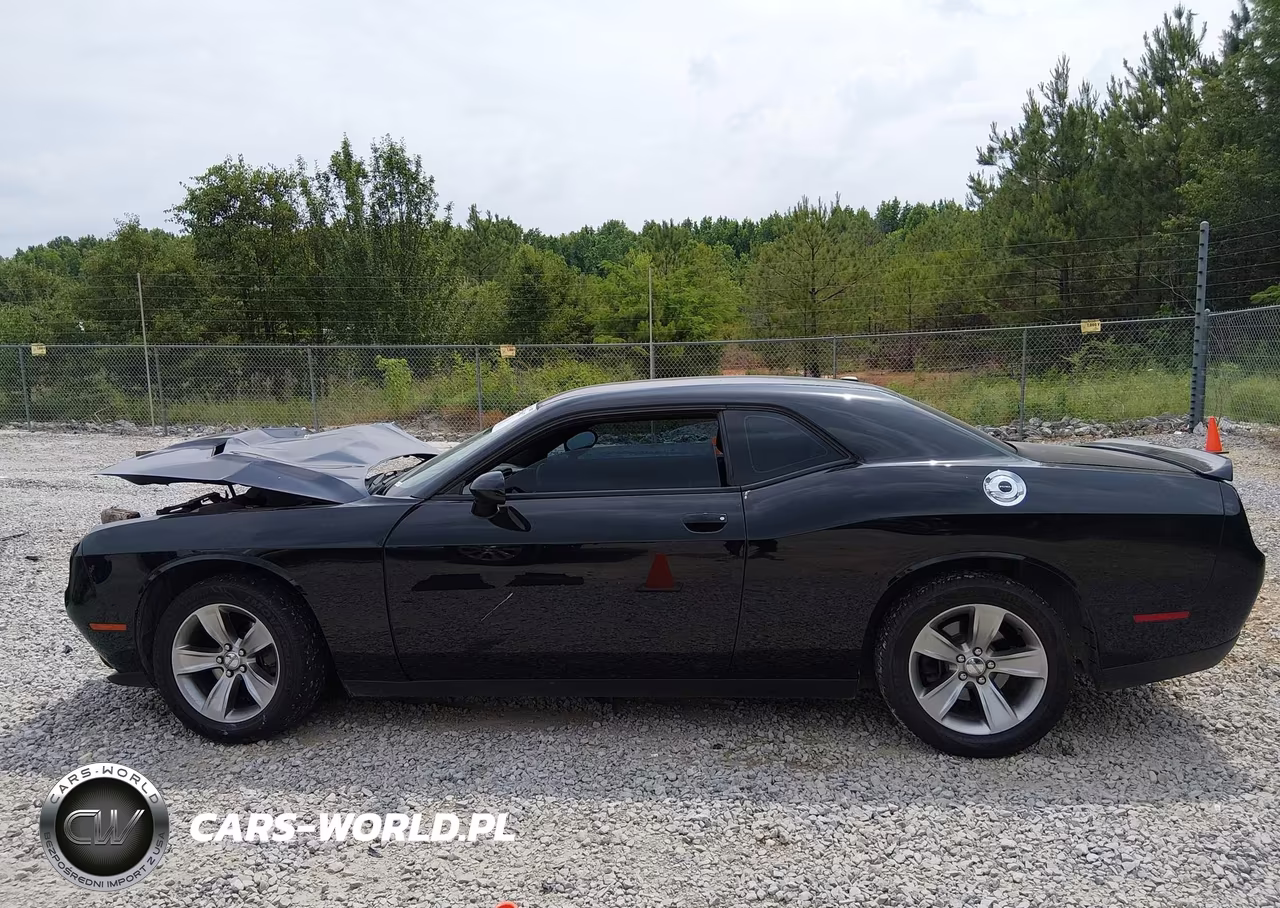 2018 Dodge Challenger Sxt VIN:2C3CDZAG2JH317796 - 14