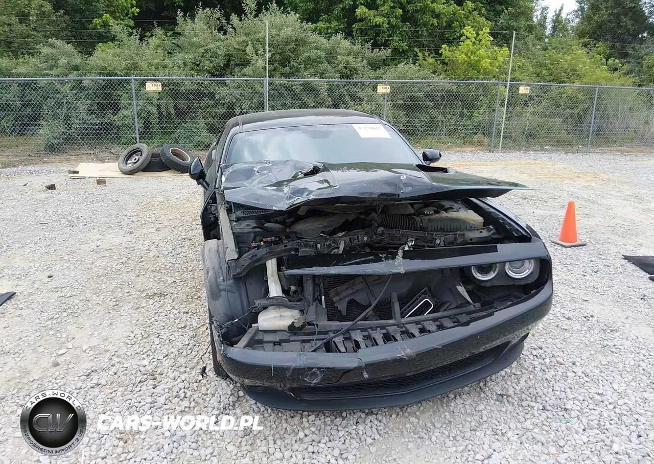 2018 Dodge Challenger Sxt VIN:2C3CDZAG2JH317796 - 6