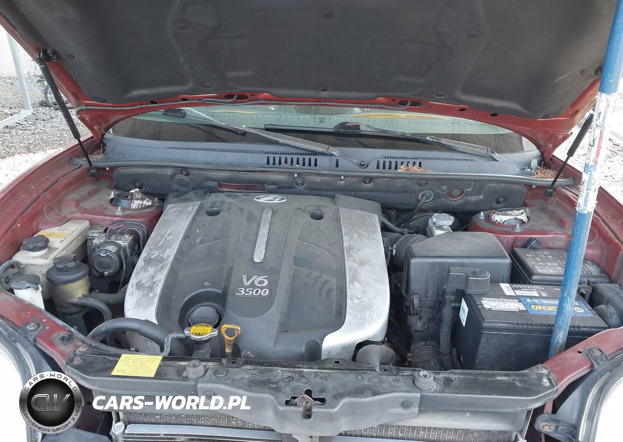 2004 Hyundai Santa Fe Gls-Lx VIN:KM8SC73E54U811299 - 10