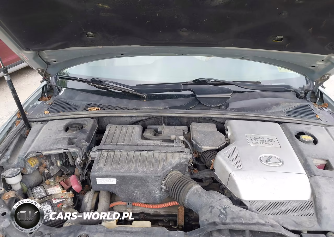 2007 Lexus Rx 400H VIN:JTJHW31U172011234 - 10