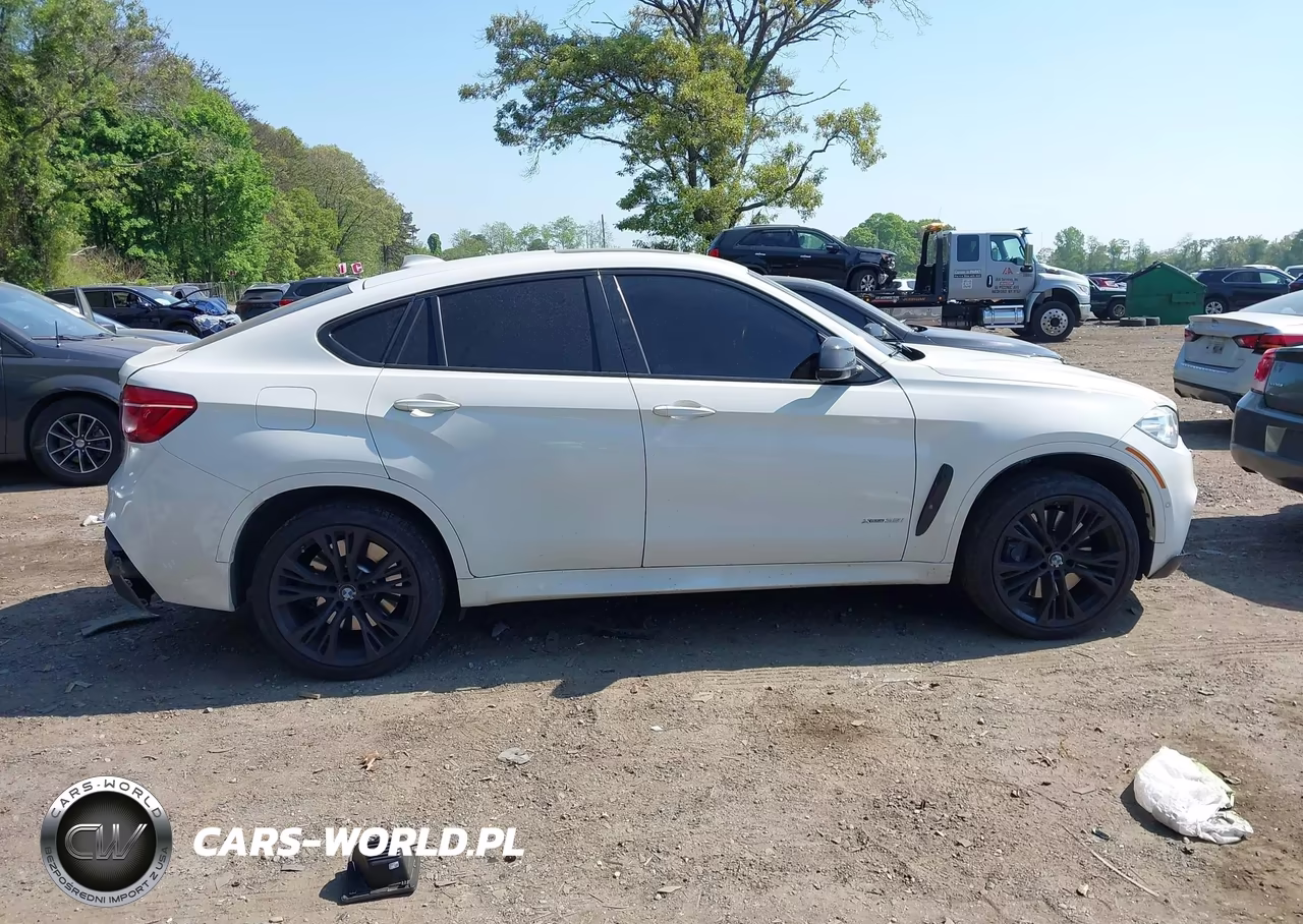 2018 BMW X6 xDrive35I VIN:5UXKU2C56J0X48297 - 13