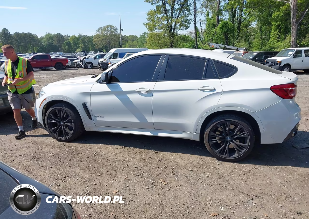 2018 BMW X6 xDrive35I VIN:5UXKU2C56J0X48297 - 14