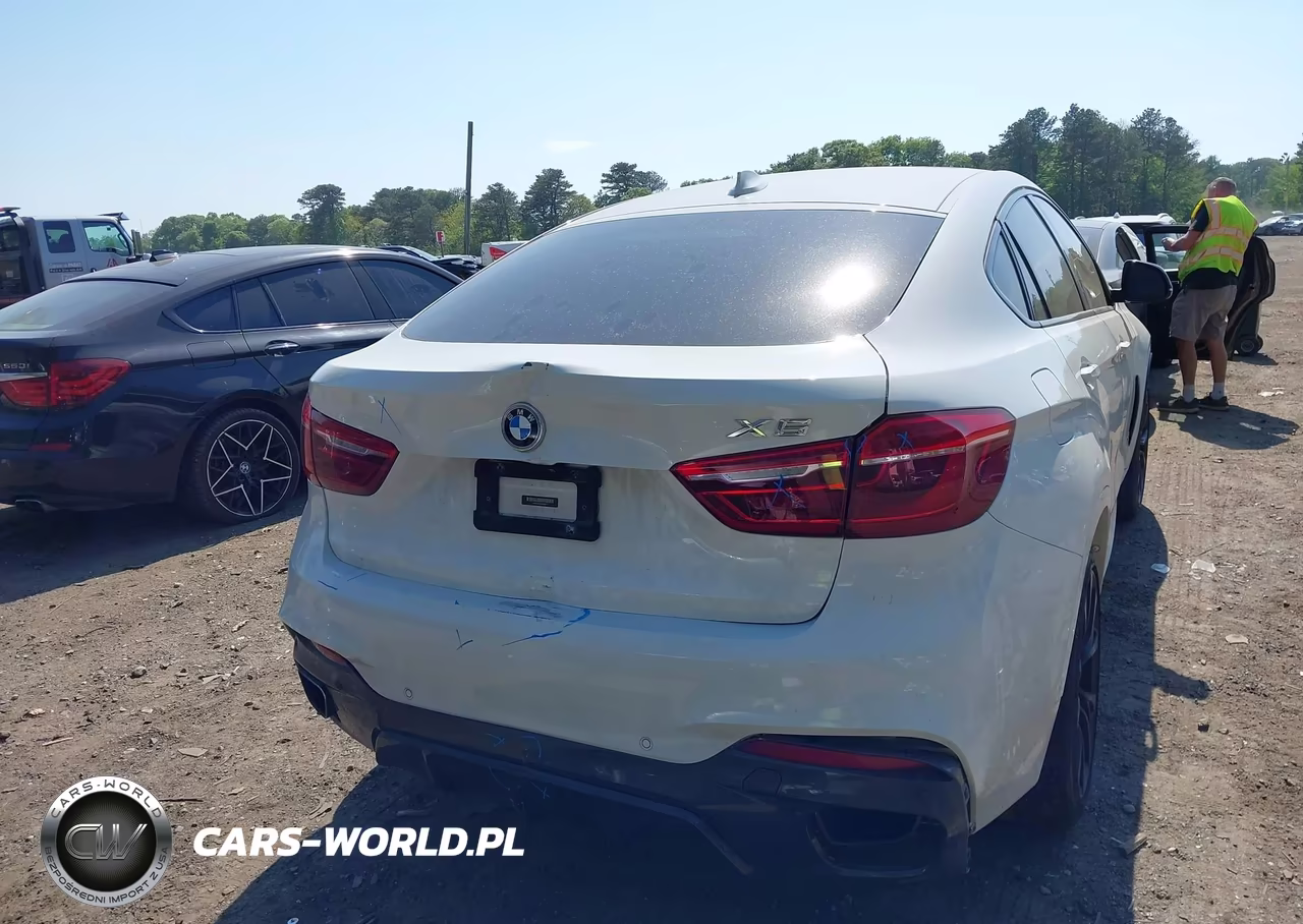 2018 BMW X6 xDrive35I VIN:5UXKU2C56J0X48297 - 16