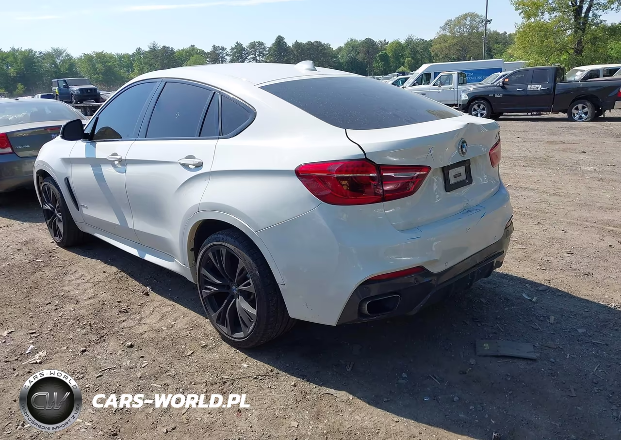2018 BMW X6 xDrive35I VIN:5UXKU2C56J0X48297 - 3