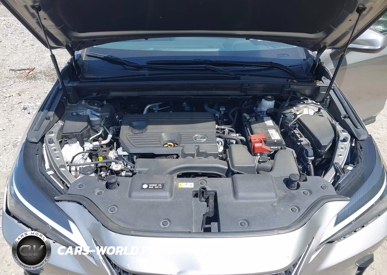 2022 Lexus Nx 250 Premium VIN:2T2GDCAZXNC001859 - 10