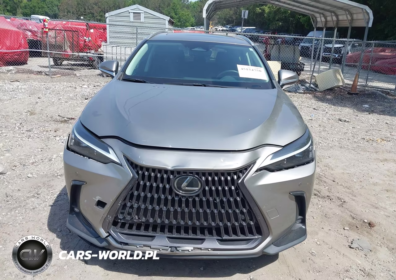 2022 Lexus Nx 250 Premium VIN:2T2GDCAZXNC001859 - 12