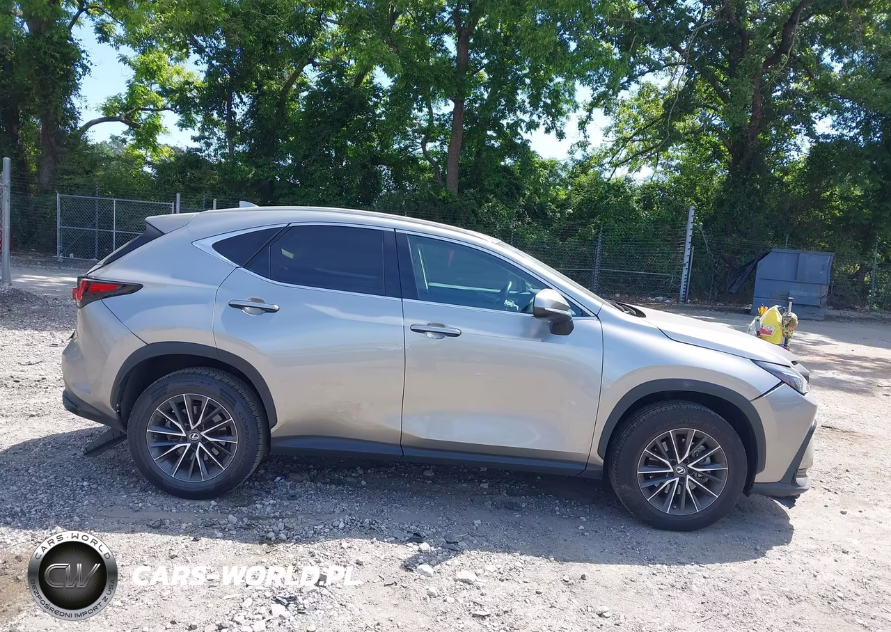 2022 Lexus Nx 250 Premium VIN:2T2GDCAZXNC001859 - 13
