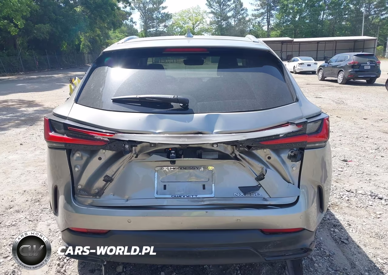 2022 Lexus Nx 250 Premium VIN:2T2GDCAZXNC001859 - 16