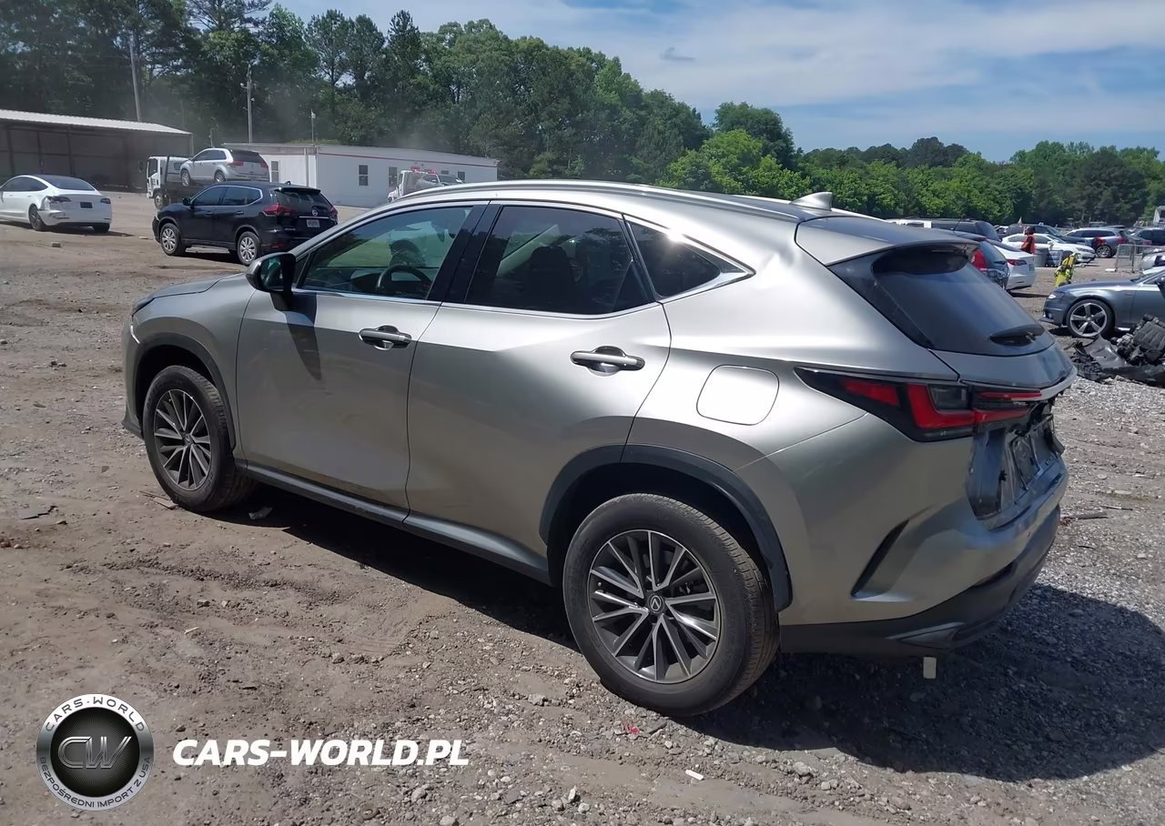 2022 Lexus Nx 250 Premium VIN:2T2GDCAZXNC001859 - 3