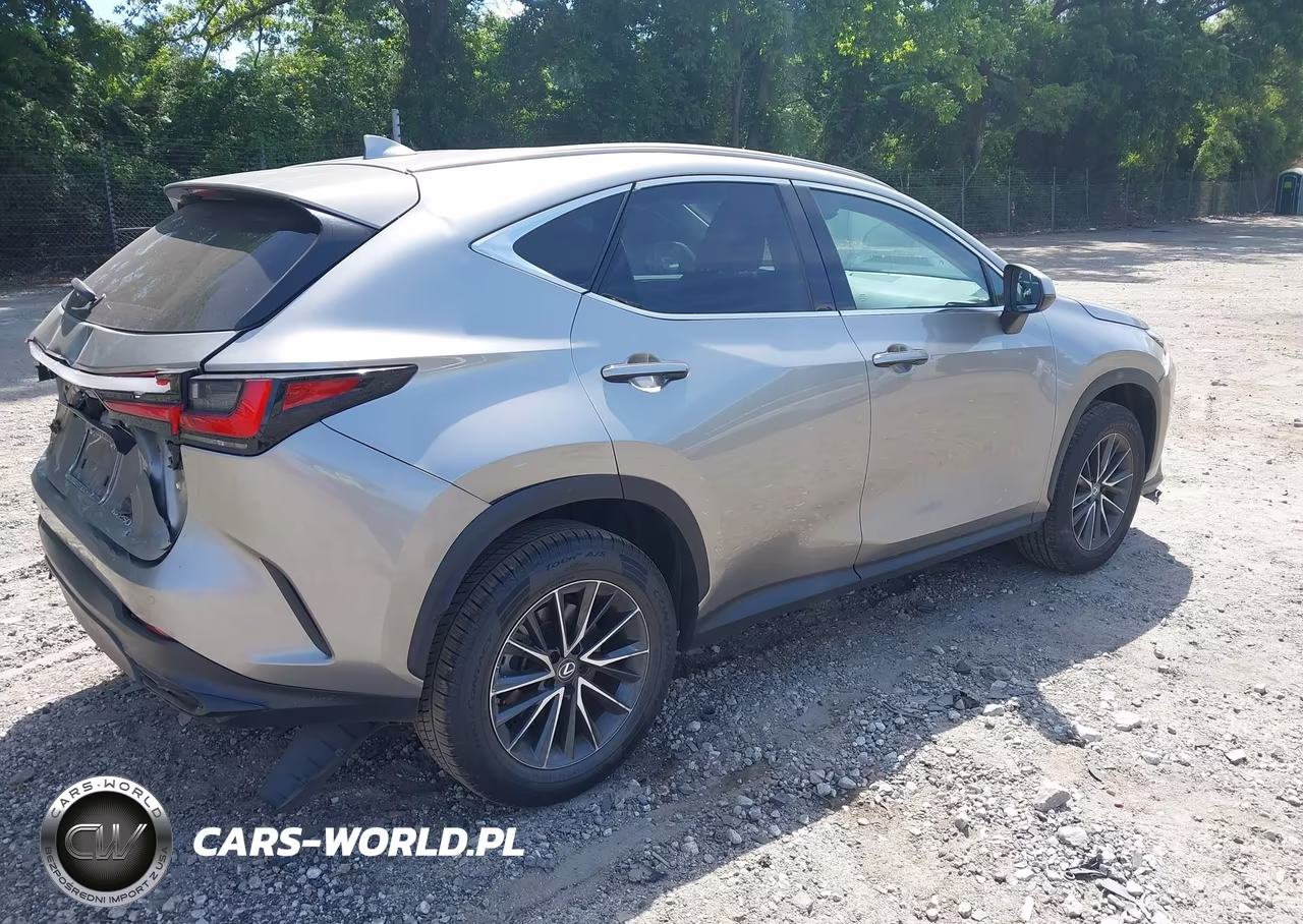 2022 Lexus Nx 250 Premium VIN:2T2GDCAZXNC001859 - 4