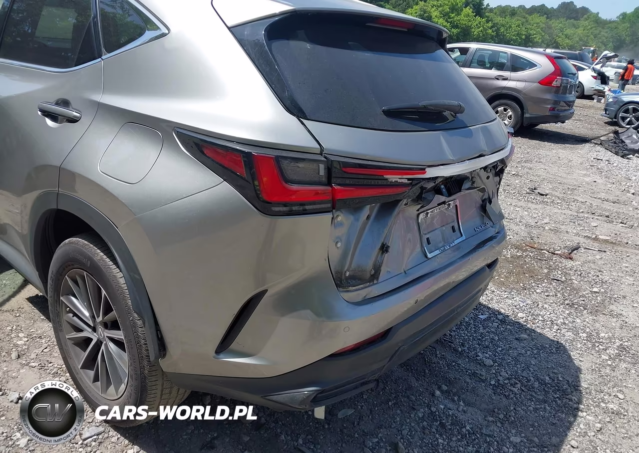 2022 Lexus Nx 250 Premium VIN:2T2GDCAZXNC001859 - 6