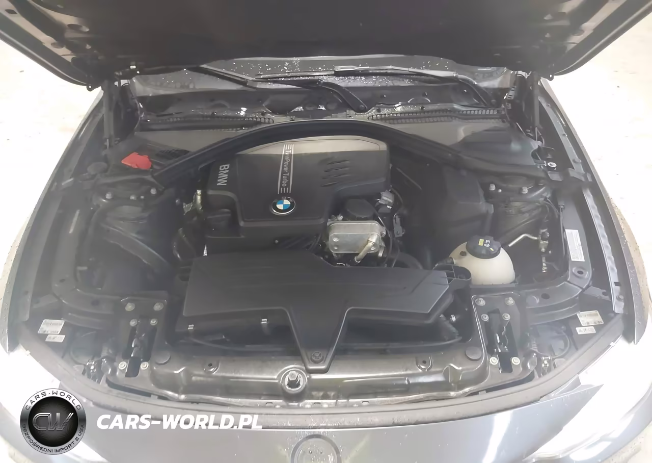 2015 BMW 428 Gran Coupe xDrive VIN:WBA4C9C54FG135158 - 10