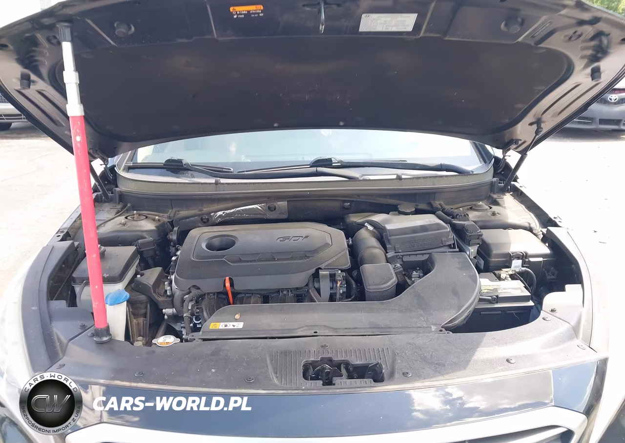 2016 Hyundai Sonata Se VIN:5NPE24AF9GH278533 - 10