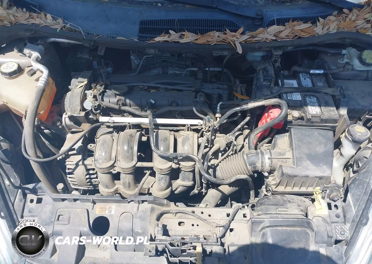 2014 Ford Fiesta Se VIN:3FADP4EJ9EM114238 - 10