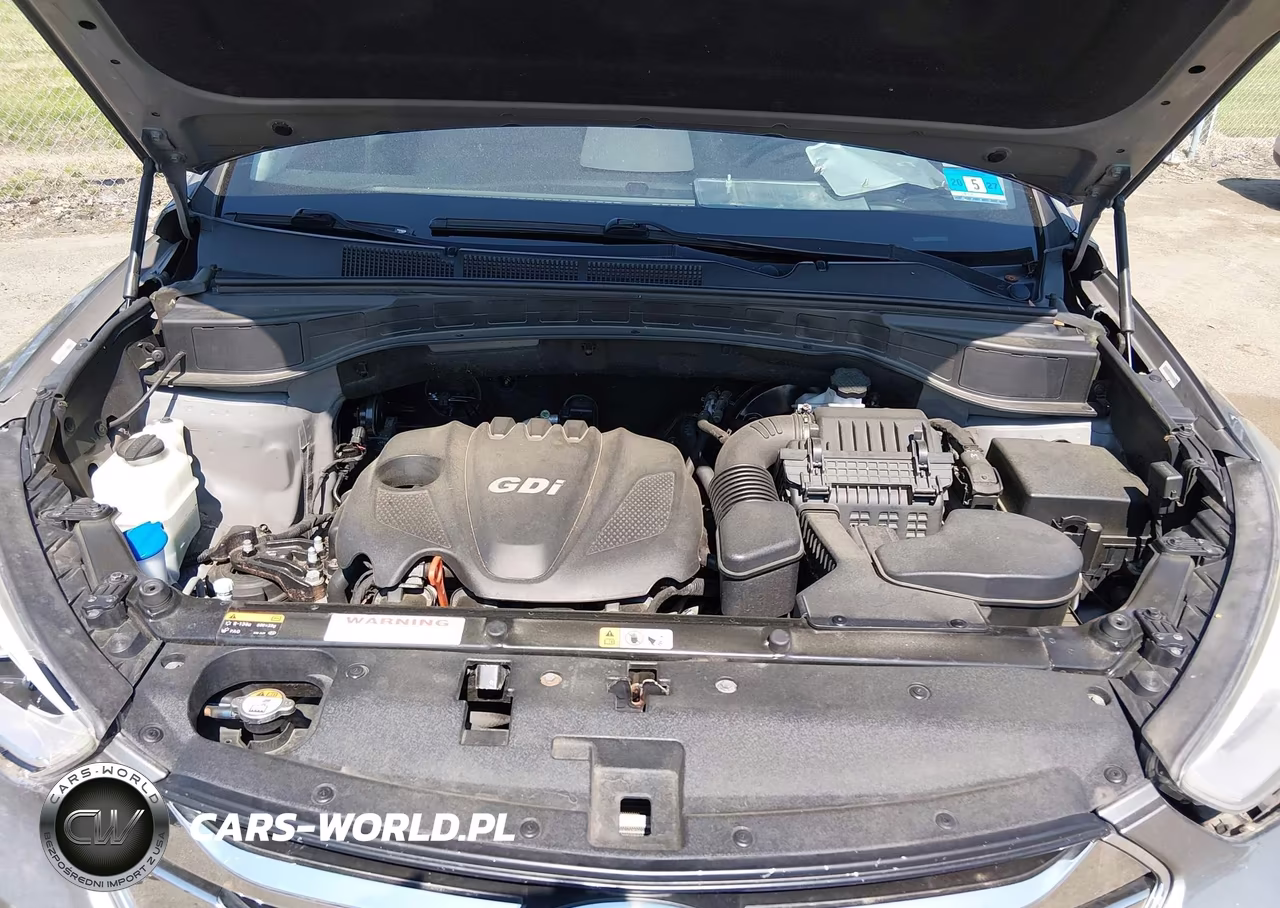 2014 Hyundai Santa Fe Sport 2.4L VIN:5XYZUDLB4EG224065 - 10