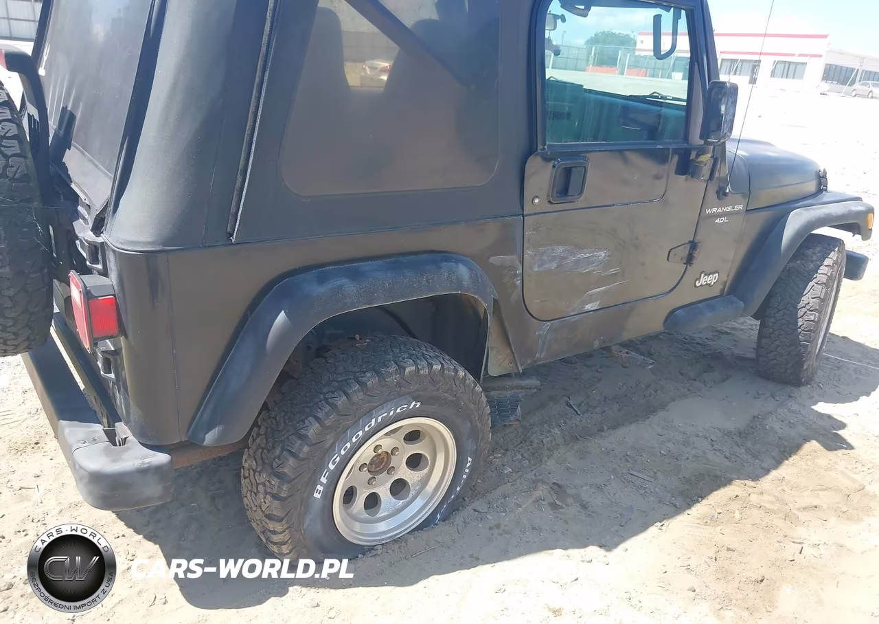 1997 Jeep Wrangler Sport VIN:1J4FY19S2VP466308 - 6