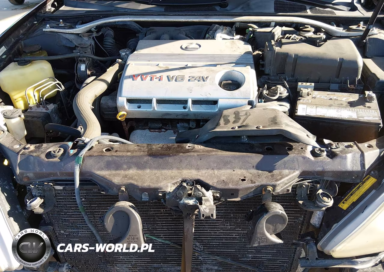 2002 Lexus Es 300 VIN:JTHBF30G225005713 - 10