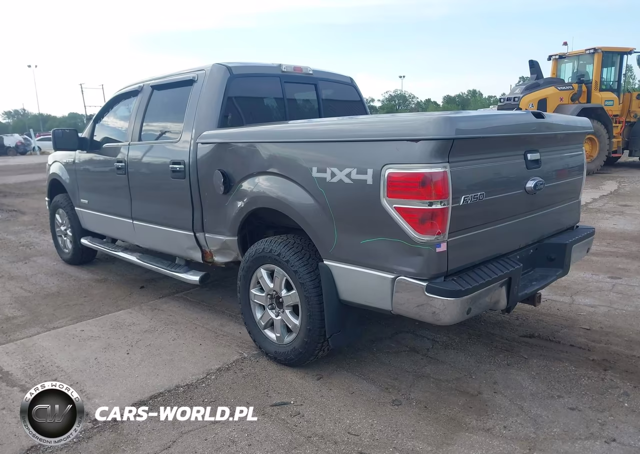 2013 Ford F-150 Xlt VIN:1FTFW1ET5DFC62942 - 3