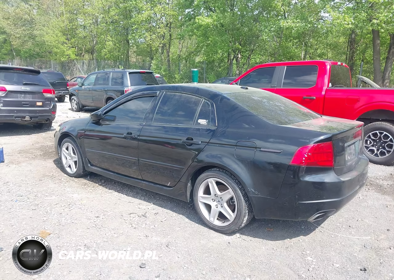 2004 Acura Tl VIN:19UUA66224A048336 - 3