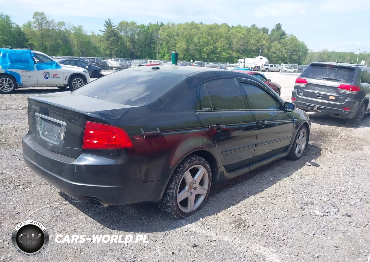 2004 Acura Tl VIN:19UUA66224A048336 - 4