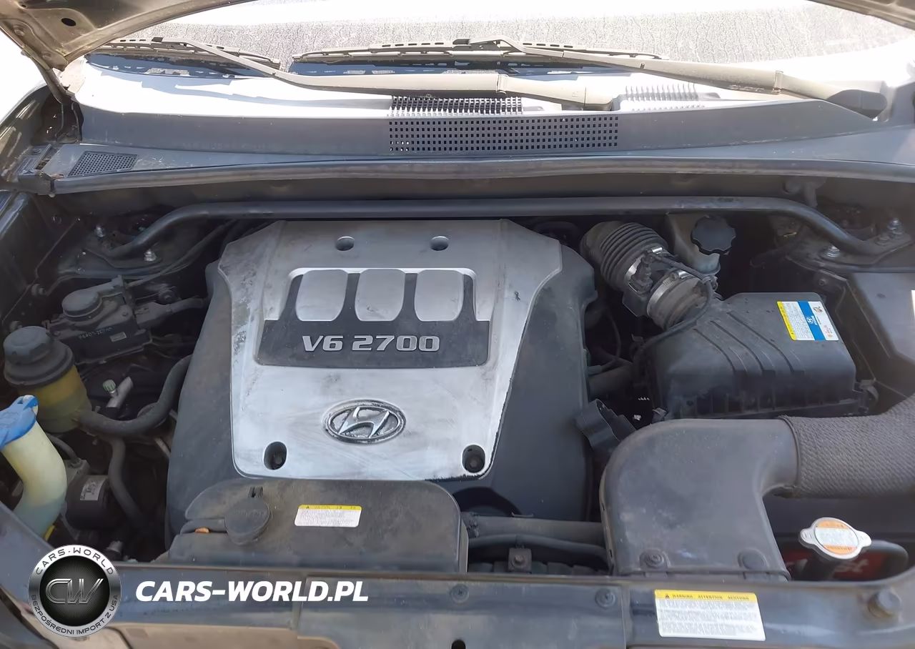 2006 Hyundai Tucson Gls-Limited VIN:KM8JN72D96U368401 - 10
