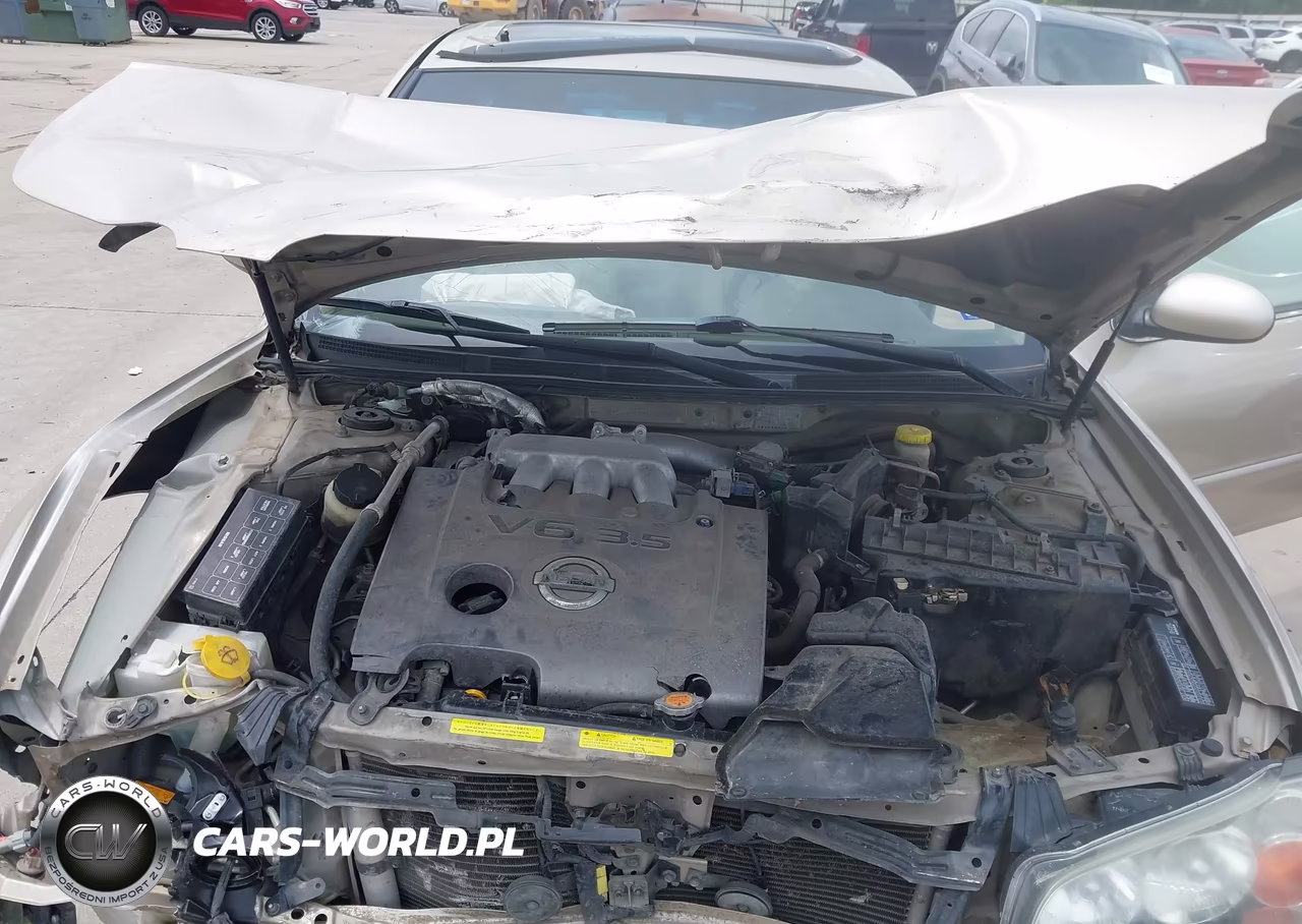2002 Nissan Maxima Se VIN:JN1DA31D12T427192 - 10