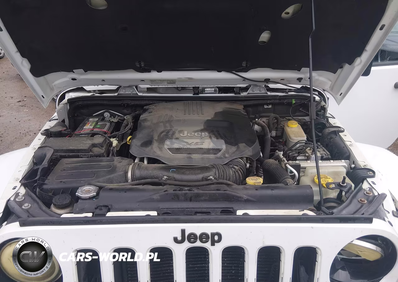 2014 Jeep Wrangler Unlimited Polar Edition VIN:1C4BJWEG4EL216177 - 10