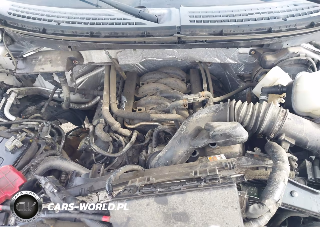 2011 Ford F-150 Fx4 VIN:1FTFX1EF4BFD23606 - 10