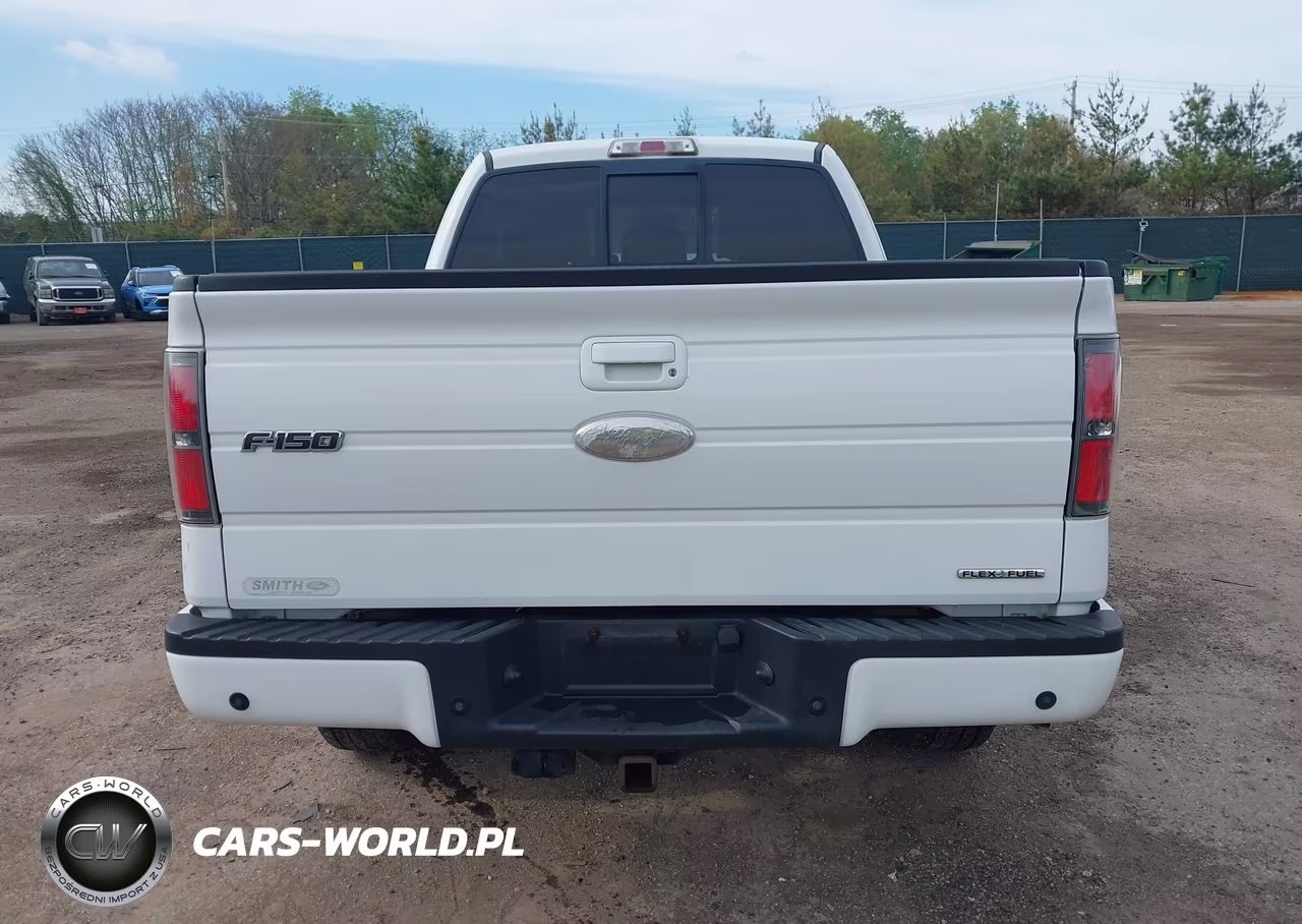 2011 Ford F-150 Fx4 VIN:1FTFX1EF4BFD23606 - 16