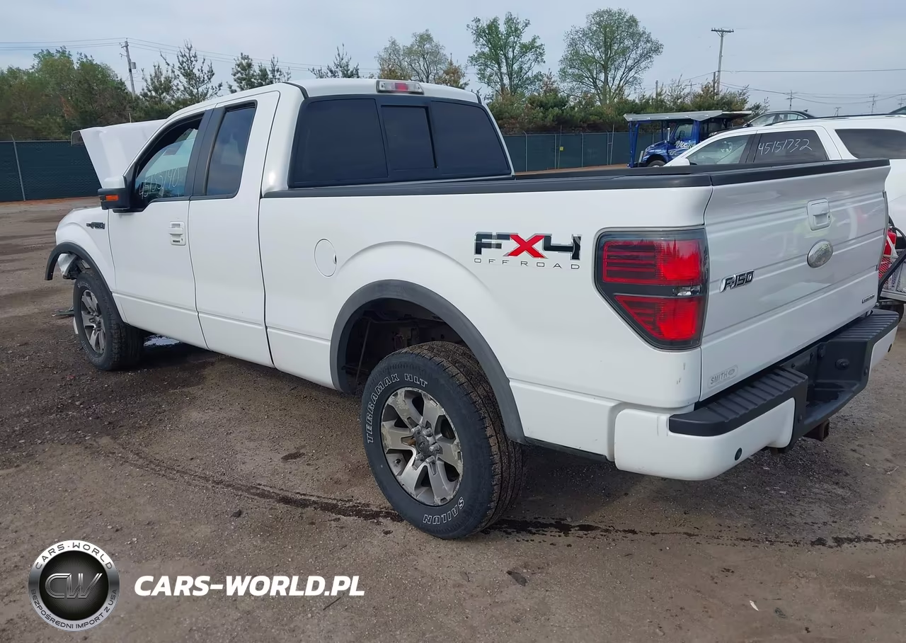 2011 Ford F-150 Fx4 VIN:1FTFX1EF4BFD23606 - 3