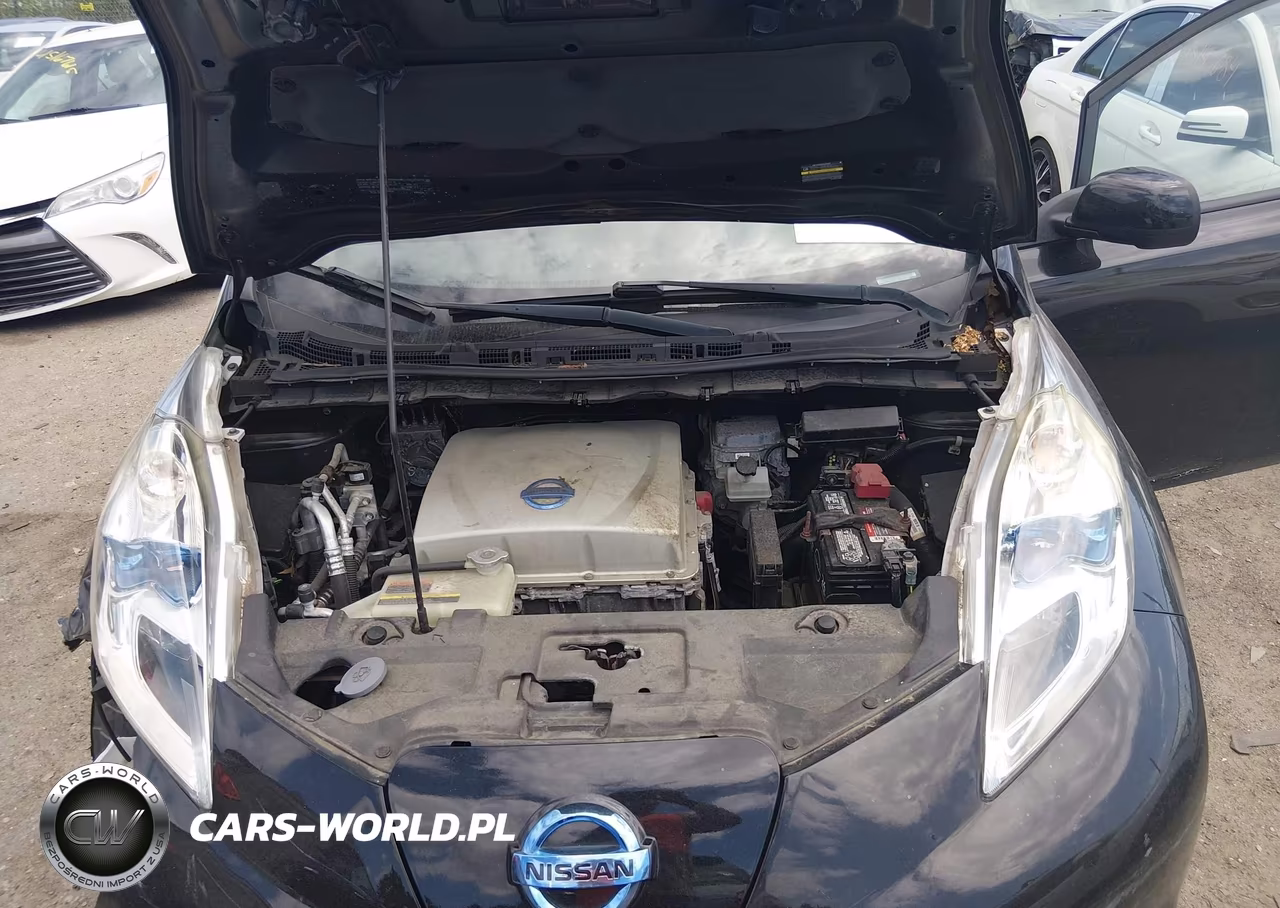 2015 Nissan Leaf Sl VIN:1N4AZ0CP9FC326802 - 10
