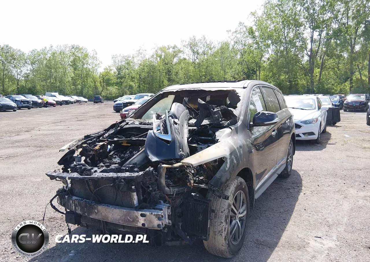 2019 Infiniti Qx60 Pure VIN:5N1DL0MM3KC532457 - 2