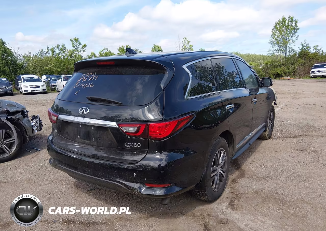 2019 Infiniti Qx60 Pure VIN:5N1DL0MM3KC532457 - 4