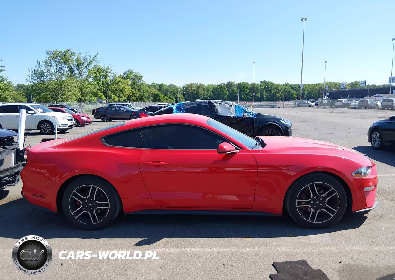 2020 Ford Mustang Ecoboost Premium Fastback VIN:1FA6P8TH3L5188645 - 13