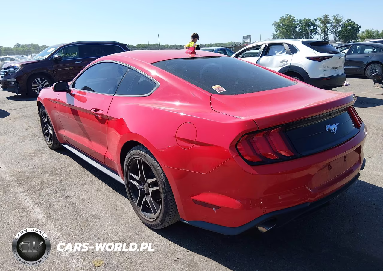 2020 Ford Mustang Ecoboost Premium Fastback VIN:1FA6P8TH3L5188645 - 3