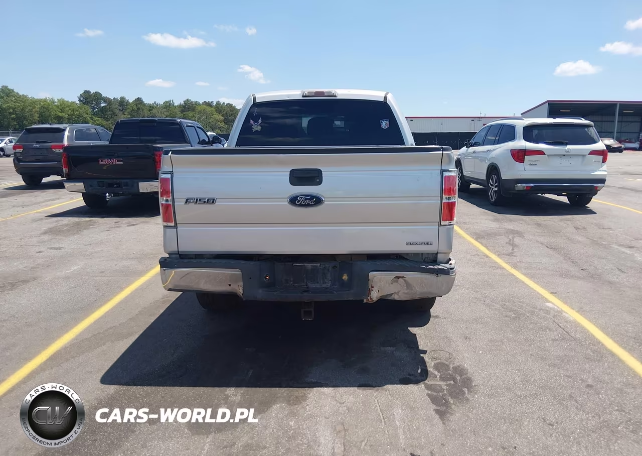 2011 Ford F-150 Xlt VIN:1FTEW1CM5BFD08225 - 16