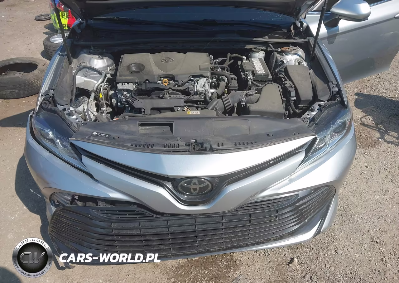 2019 Toyota Camry Le VIN:4T1B11HKXKU770618 - 10