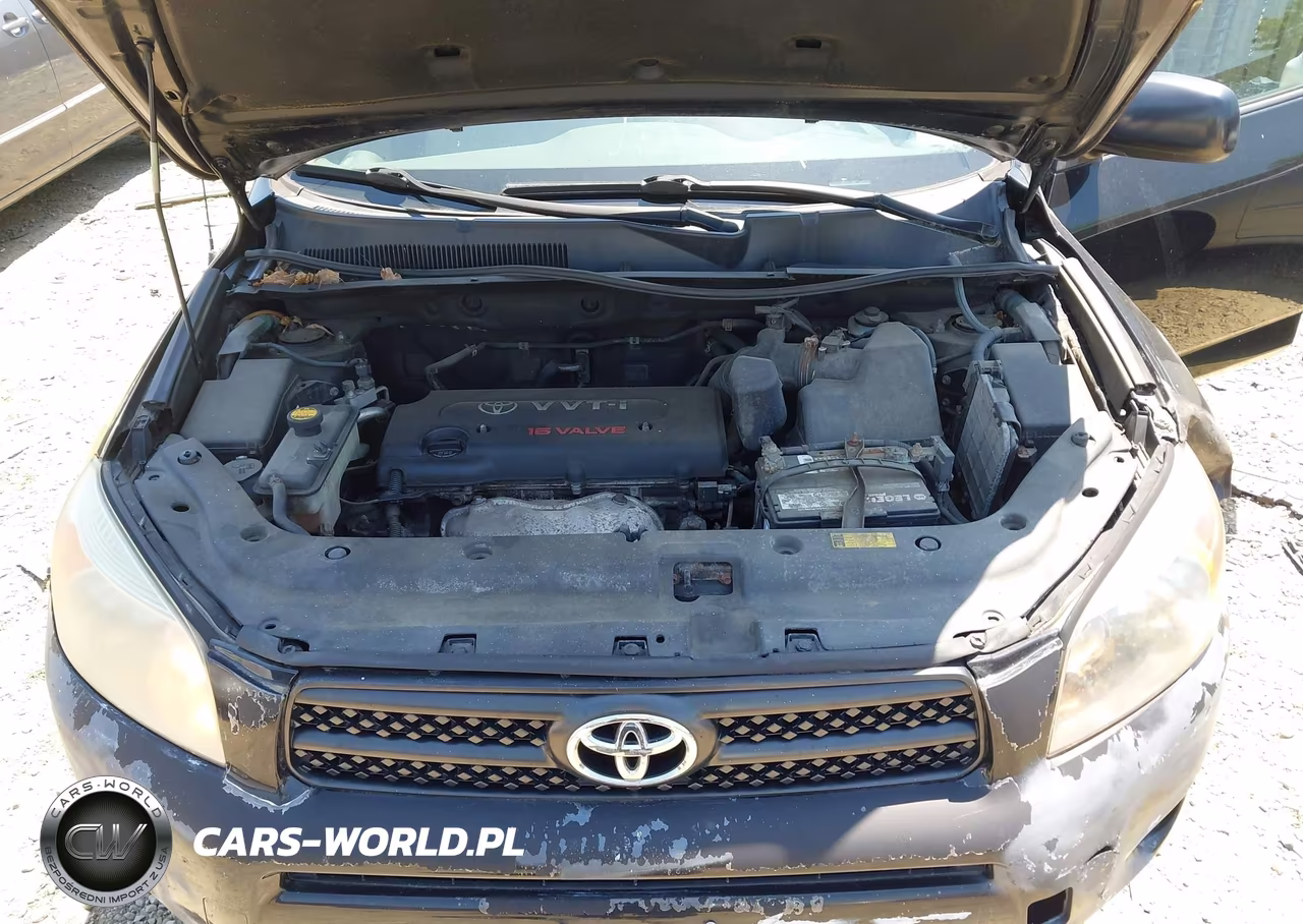 2008 Toyota Rav4 VIN:JTMBD33V486059924 - 10