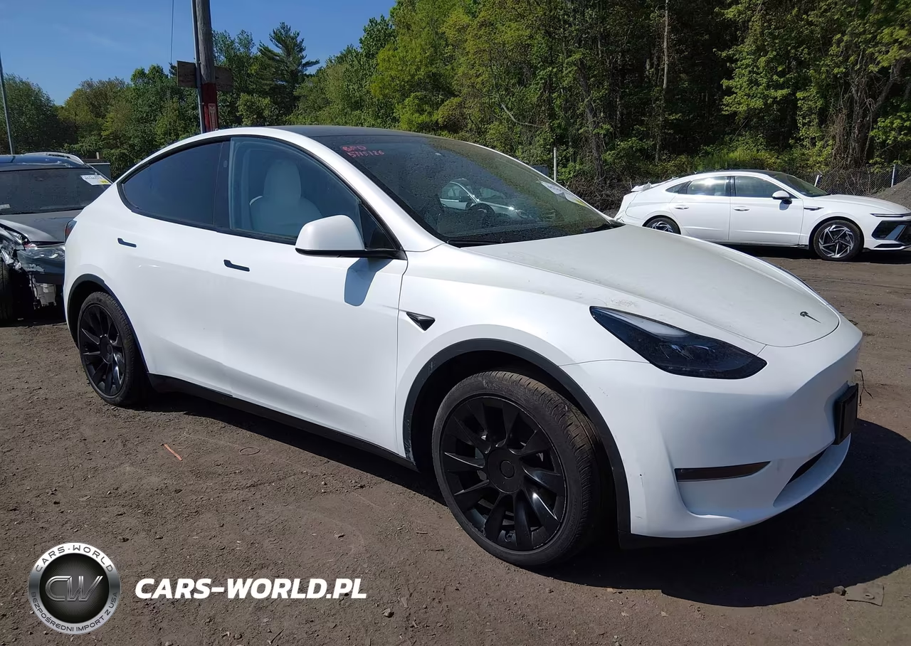 2023 Tesla Model Y – zdjęcie 1 z 16