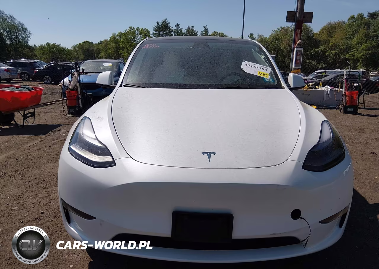 2023 Tesla Model Y VIN:7SAYGDEE7PA198050 - 12