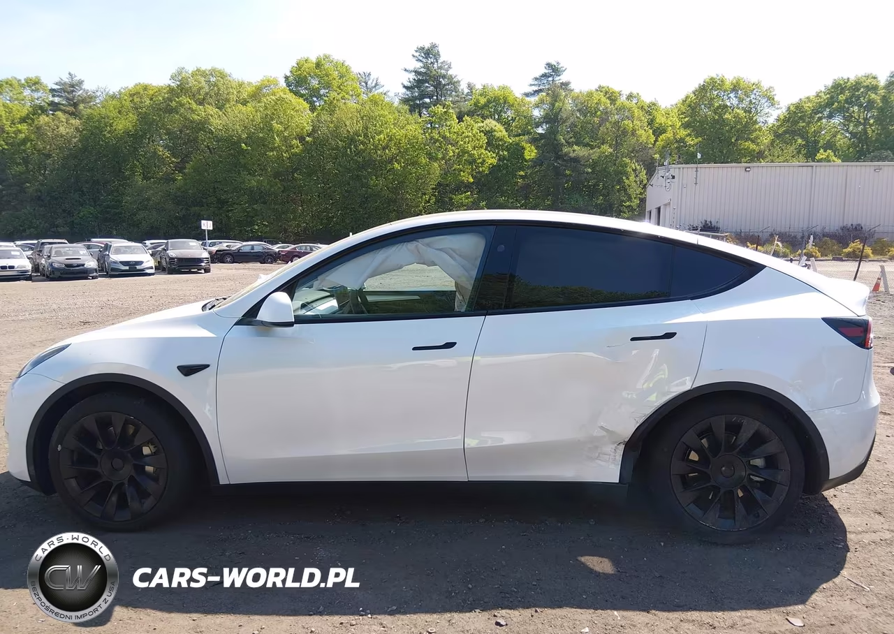 2023 Tesla Model Y VIN:7SAYGDEE7PA198050 - 14
