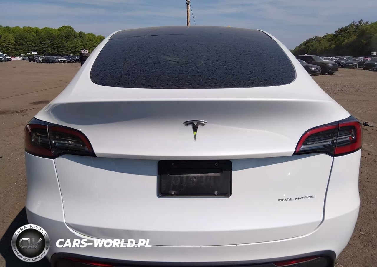 2023 Tesla Model Y VIN:7SAYGDEE7PA198050 - 16